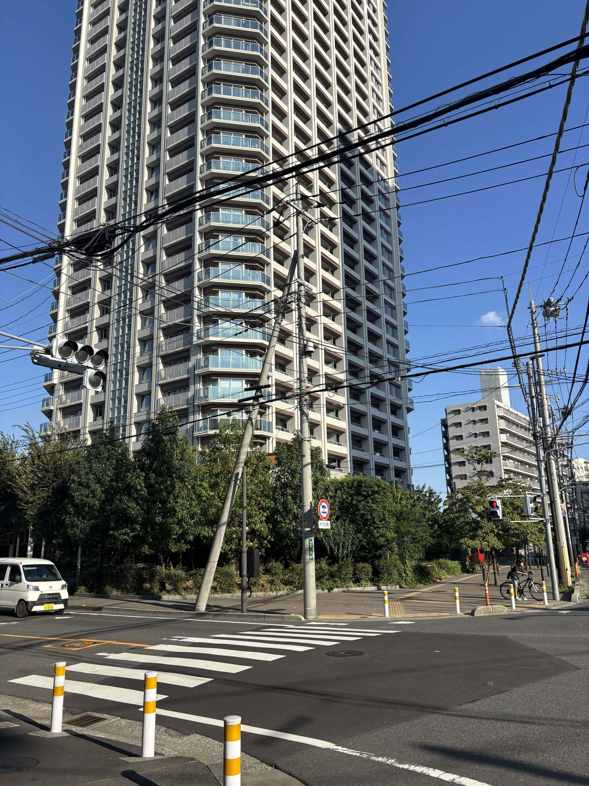 弁護士の画像